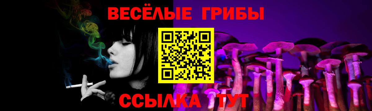 Минеральные Воды  Псилоцибиновые грибы Cubensis  Вход с VPN 